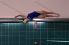 Women's Diving  Wheaton College Women’s Diving vs Mount Holyoke College. - Photo by Keith Nordstrom : Wheaton, Swimming & Diving